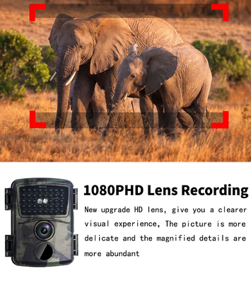 PR600A HD Hunting Camera 20MP  IP54 waterproof